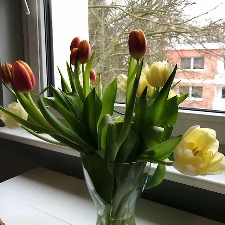 Helles, Gemutliches Apartment! * Elmshorn